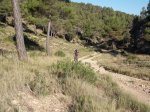 DSCF0531 (Copiar).JPG