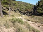 DSCF0534 (Copiar).JPG