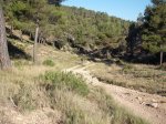 DSCF0541 (Copiar).JPG