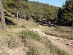DSCF0526 (Copiar).JPG