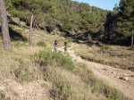 DSCF0538 (Copiar).JPG