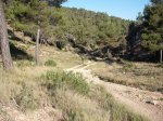 DSCF0530 (Copiar).JPG