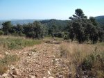 DSCF0548 (Copiar).JPG