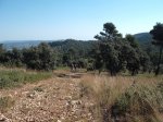 DSCF0552 (Copiar).JPG
