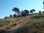 DSCF0561 (Copiar).JPG