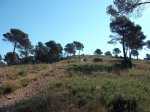 DSCF0563 (Copiar).JPG