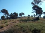 DSCF0564 (Copiar).JPG