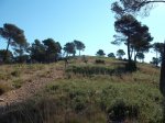 DSCF0569 (Copiar).JPG