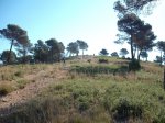 DSCF0567 (Copiar).JPG