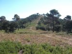 DSCF0573 (Copiar).JPG