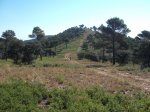 DSCF0580 (Copiar).JPG