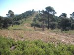 DSCF0581 (Copiar).JPG
