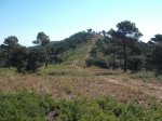 DSCF0574 (Copiar).JPG