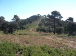 DSCF0578 (Copiar).JPG