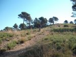 DSCF0571 (Copiar).JPG