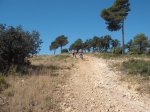 DSCF0586 (Copiar).JPG
