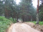 IMG_7576.6.jpg