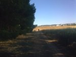 17072011_021.jpg