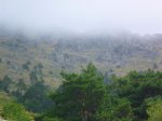 Foto21.JPG