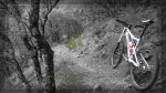 Fondo Cannondale.jpg