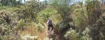 DSCN0921.JPG