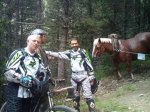 IMG_20110717_102244.jpg