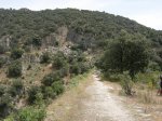 DSCN4247.jpg