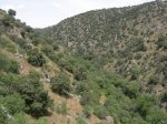 DSCN4246.jpg
