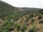 DSCN4251.jpg