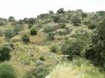 DSCN4250.jpg