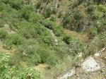 DSCN4245.jpg