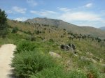 DSCN4327.jpg