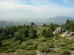 DSCN4305.jpg