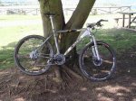 Orbea.jpg