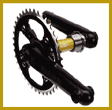 kcnc1.gif