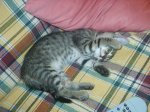 x1pAdjo0uCo2H0UpypIl8GvqHug0E_YzDNrqIGXD6OfgxAwcWS4PFdKXLzaCxsC8EL-K4dQSkBC_Cyss6ARSlGPjcqMe0wRJa3QW