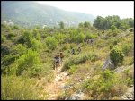 PICT0013.jpg