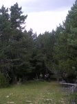 IMGP9089.JPG