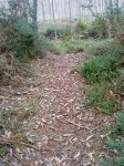 DSC04551.JPG