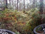 DSC04554.JPG