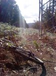 DSC04556.JPG