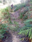 DSC04555.JPG