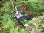 DSCF0039_800x600.jpg