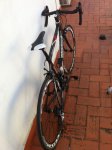 bicicleta03_.JPG