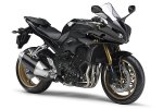 2011-Yamaha-FZ1-9.jpg