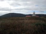 2011-07-20 10.04.32.jpg
