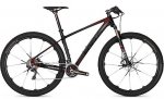 focus_raven_29er2.jpg