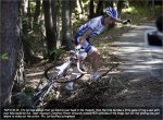 tdf11st17-crashtree.jpg