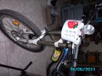 IMG_1029.JPG