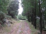 vacacones veroano 2011 806.jpg